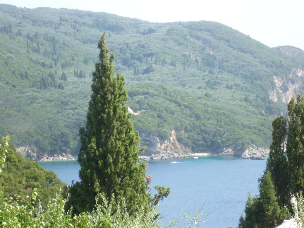 Noufaro Daire Paleokastritsa Oda fotoğraf